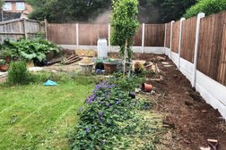 Herring Tree Services & Landscaping in Derby