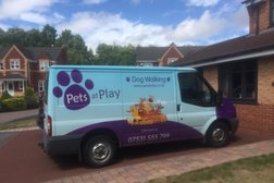 Pets at Play in Warrington