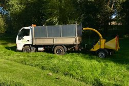 Special Branch Tree Services and Ground Maintenance in Ipswich