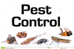 Blue Pest Control Photo