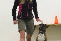 AMCBT (Academy Modern Canine Behaviour & Training) Southsea Branch in Portsmouth