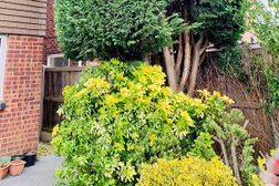G&D Tree Care and Garden Maintenance in Southend-on-Sea