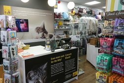 Cats Protection - Cardiff Charity Shop Photo