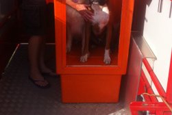 Spotlessmutts mobile dog wash in Swindon