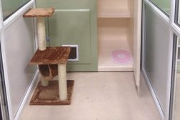 Kelcliffe Cattery Photo