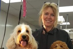 Dog Grooming at Montagroom Place in Leeds
