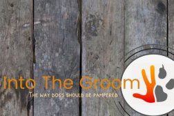 Into the Groom - Dog Grooming in Canford Heath Photo
