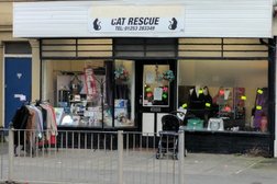 Cat Rescue Charity Shop Photo