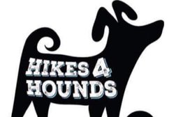 Hikes 4 Hounds in Leeds