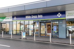 White Cross Vets in Liverpool