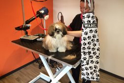 Village Dog Grooming in Bolton