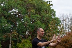 Five Elements Academy - Tai Chi & Qi gong in Portsmouth