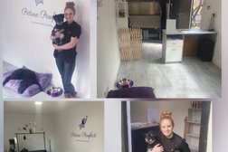 Picture Pawfect Professional Dog Grooming in York