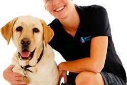 Co-Evolve Dog Training and Behaviour Consultancy Photo