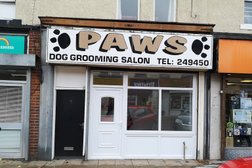 Paws Dog Grooming Photo