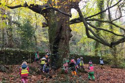 Out There Forest School and Kindergarten (preschool/nursery) in Bristol