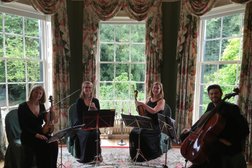 Liverpool String Quartet Photo