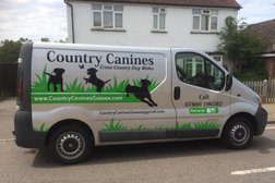 Country Canines Sussex in Crawley
