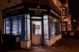 Medivet East Oxford - Oxford Animal Clinic Photo