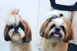 Mr. Dolittle Dog Grooming spa saloon Photo