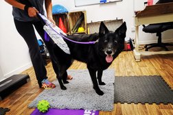 The Retreat Canine Hydrotherapy & Rehabilitation Centre Photo