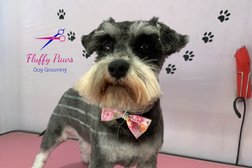 Fluffy Paws Dog Grooming Photo
