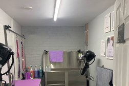 Furry Tails Dog Grooming York in York