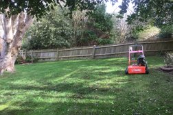 southern lawn care Photo
