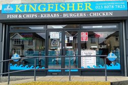 Kingfisher in Southampton
