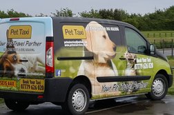 Pet Taxi Services Ltd Photo