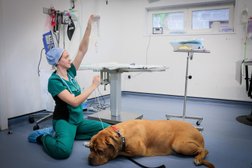 Westway Veterinary Hospital in Newcastle upon Tyne