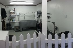 Billies Grooming Room in Basildon