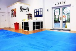 English Karate Academy ltd in Warrington