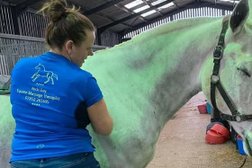 Nicki Day Equine Sports Massage Therapist in Stoke-on-Trent