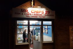 Mr Chips Photo