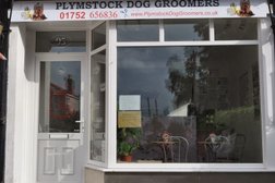 Plymstock Dog Groomers - Plymouth Photo