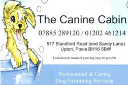 The Canine Cabin-Poole Photo