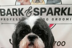 Bark and sparkle Photo