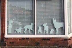 Bark Road Dog Grooming in Wigan