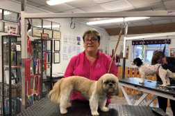 Doggie Styles Dog Grooming in Poole