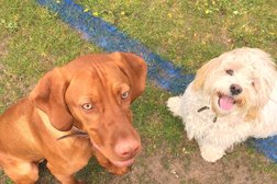 Woofpatrol Dog Walking Services And Pet Sitter, Blackpool in Blackpool