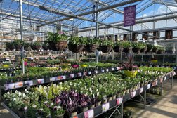Coolings - Garden Centre and Plant Nursery, Gardening and Horticultural Services, Restaurant Photo