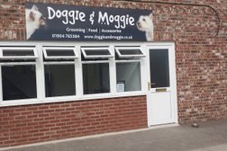 Doggie & Moggie Photo