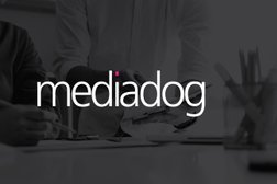 Mediadog Digital Ltd Photo