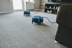 Alliance Carpet & Upholstery Cleaning Tyne and Wear Photo