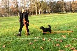 Pooch and Belle - Puppy Classes & Dog Training in Bristol