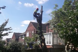 Special Branch Tree Services in Nottingham