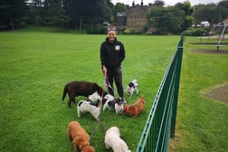 Walkies pet services in Sheffield