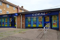 Coral in Ipswich