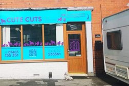 Cute Cuts Dog Grooming in Stoke-on-Trent
